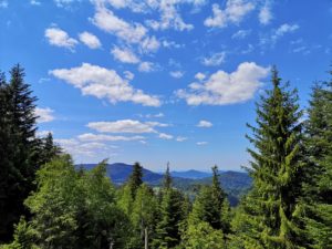 Bäume, Hügel und Wolken am Himmel im Nordschwarzwald
