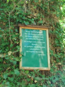 Tafel mit einem Gedicht von Hermann Hesse an einem Efeu bewachsenen Baumstamm
