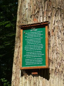 Tafel mit einem Gedicht an einem Baumstamm